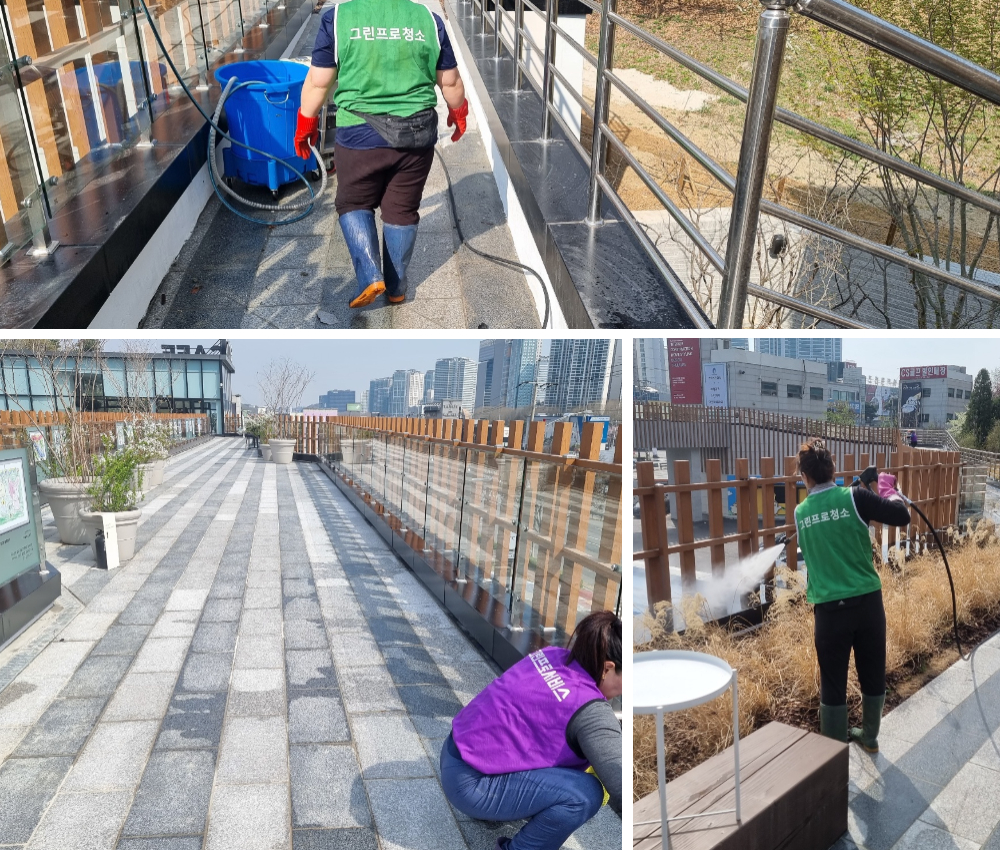 파주시 야외 공원 백화제거 - 시각적 즐거움과 깨끗한 환경을 선사합니다 관한 작업사진입니다.